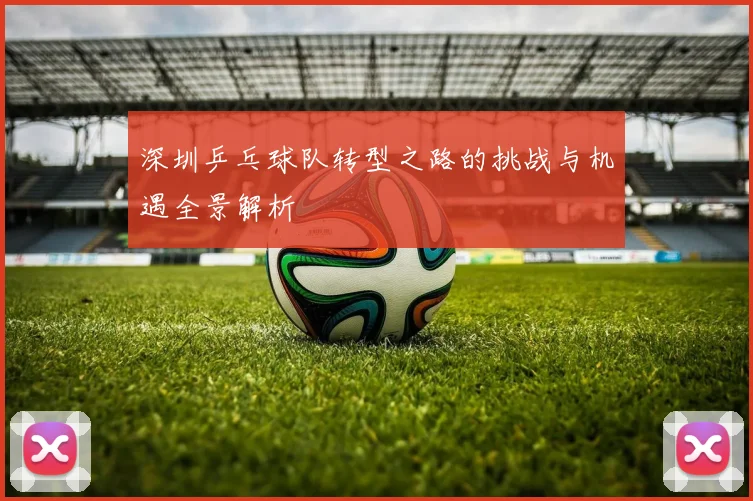深圳乒乓球队转型之路的挑战与机遇全景解析