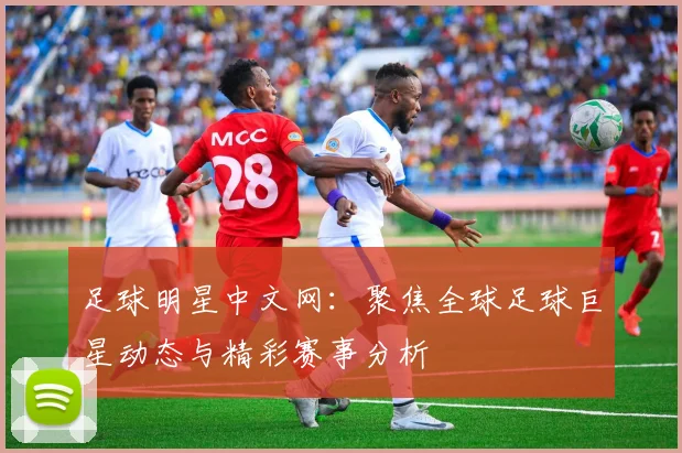 足球明星中文网：聚焦全球足球巨星动态与精彩赛事分析