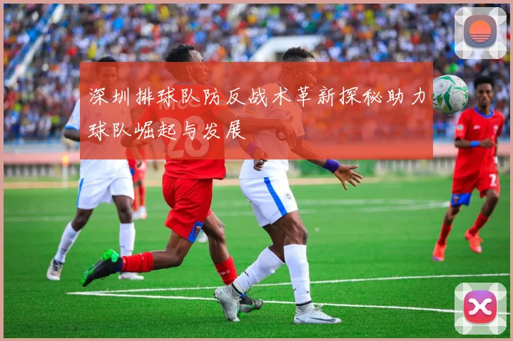 深圳排球队防反战术革新探秘助力球队崛起与发展