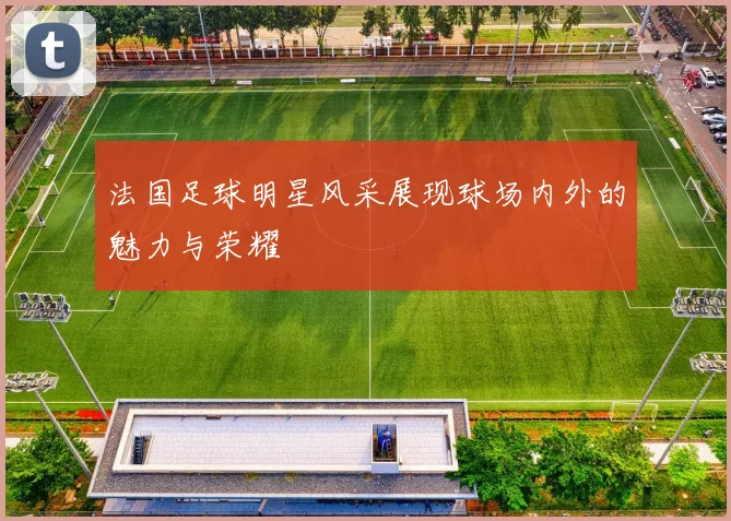 法国足球明星风采展现球场内外的魅力与荣耀