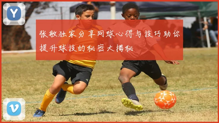 张敏独家分享网球心得与技巧助你提升球技的秘密大揭秘