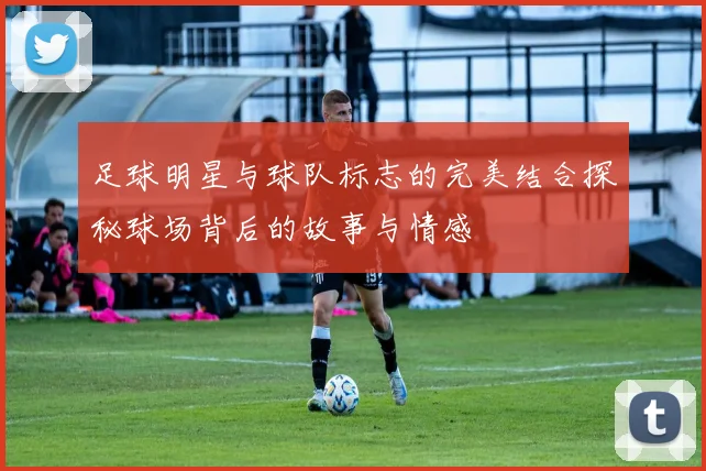 足球明星与球队标志的完美结合探秘球场背后的故事与情感