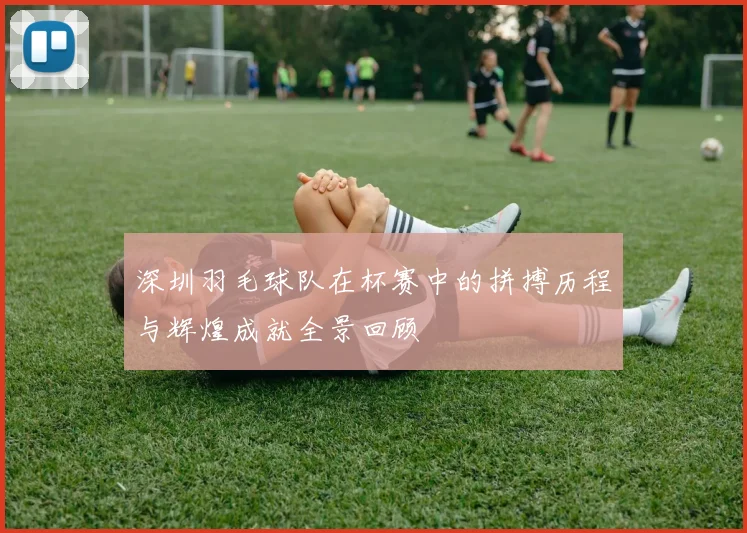 深圳羽毛球队在杯赛中的拼搏历程与辉煌成就全景回顾