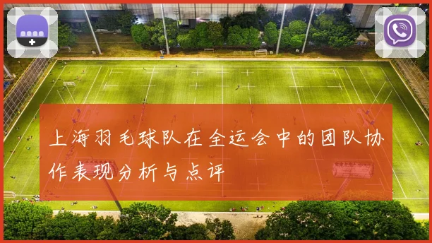 上海羽毛球队在全运会中的团队协作表现分析与点评