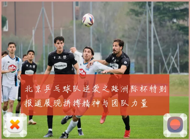 北京乒乓球队逆袭之路洲际杯特别报道展现拼搏精神与团队力量