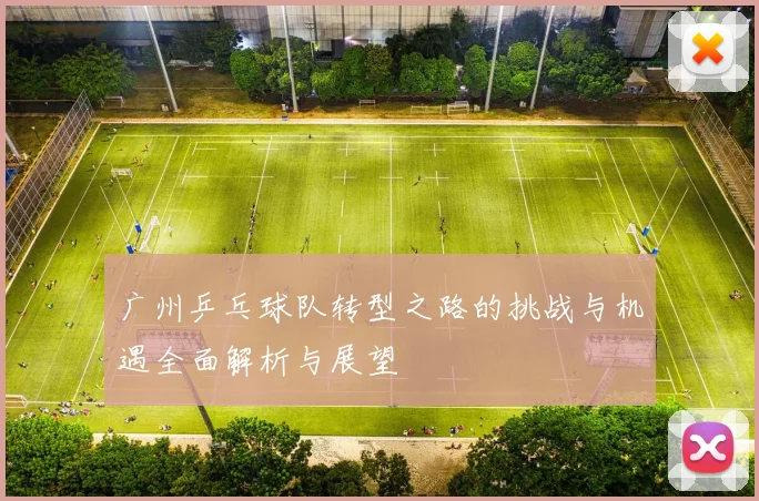 广州乒乓球队转型之路的挑战与机遇全面解析与展望