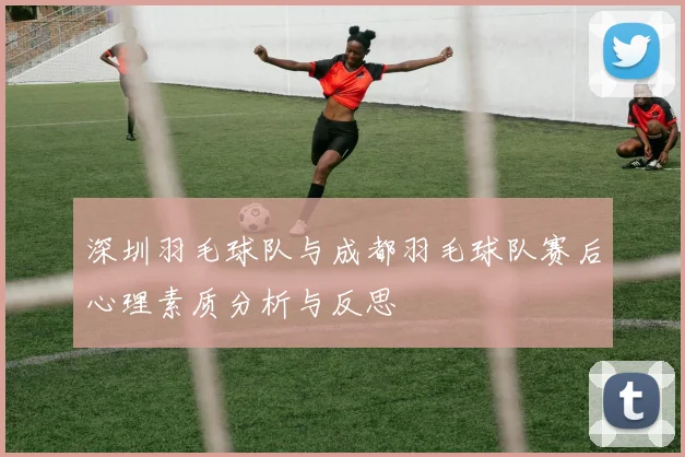 深圳羽毛球队与成都羽毛球队赛后心理素质分析与反思