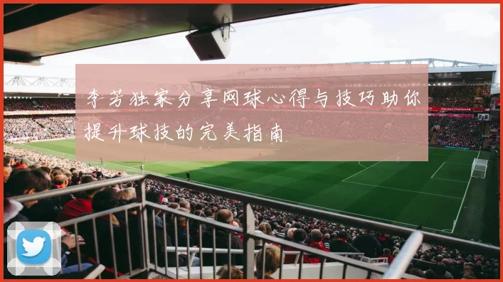 李芳独家分享网球心得与技巧助你提升球技的完美指南